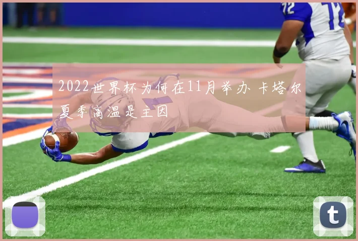 2022世界杯为何在11月举办 卡塔尔夏季高温是主因