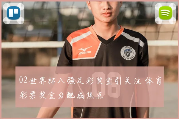 02世界杯八强足彩奖金引关注 体育彩票奖金分配成焦点