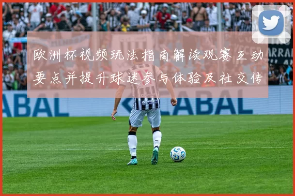 欧洲杯视频玩法指南解读观赛互动要点并提升球迷参与体验及社交传播策略