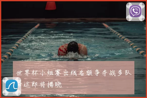 世界杯小组赛出线名额争夺战多队命运即将揭晓