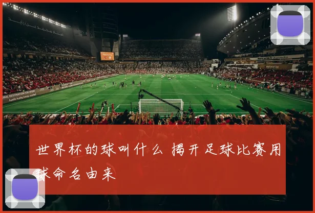 世界杯的球叫什么 揭开足球比赛用球命名由来