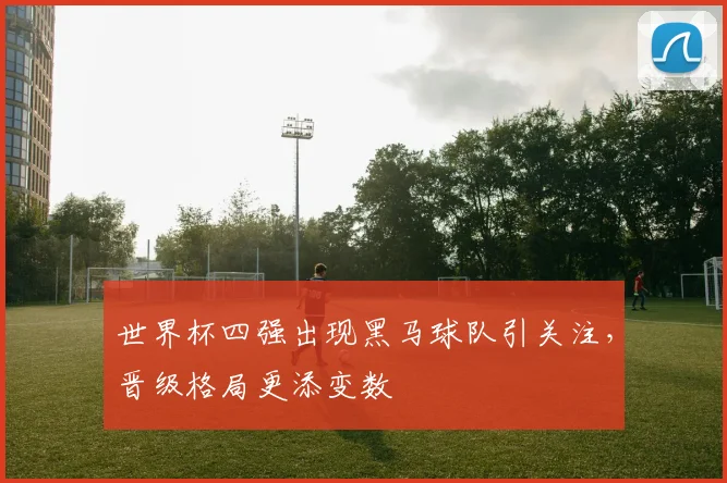 世界杯四强出现黑马球队引关注,晋级格局更添变数